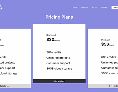 Pricing Plan Design