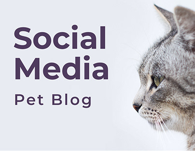 Social Media: Pet Blog | Instagram Posts