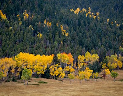 October Colorado Colors