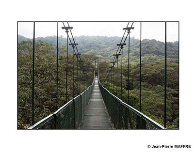 Costa Rica : La canopée