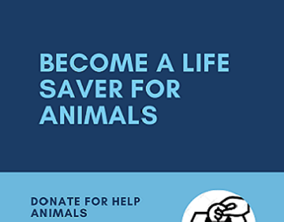 Donate To Animal Welfare