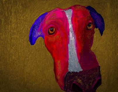 pit bull ‘portrait of a suspicious character’