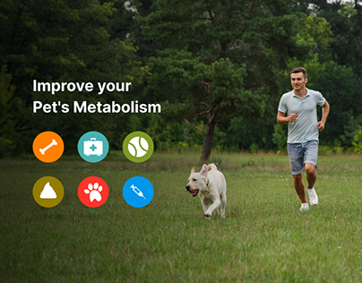How To Improve Your Pet’s Metabolism?