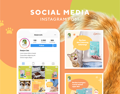 Social Media - Instagram (Daejoocats)