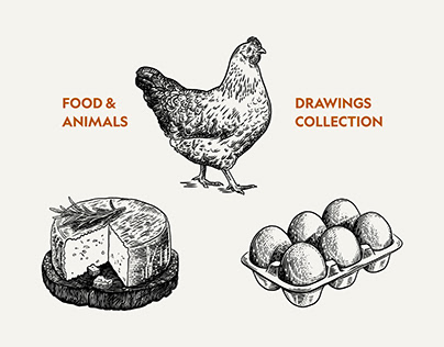 Food & Animal Drawings for Labels & Packaging