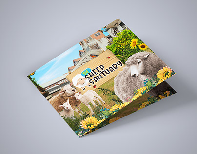 The Sheep Santuary Photo Folder Proposal