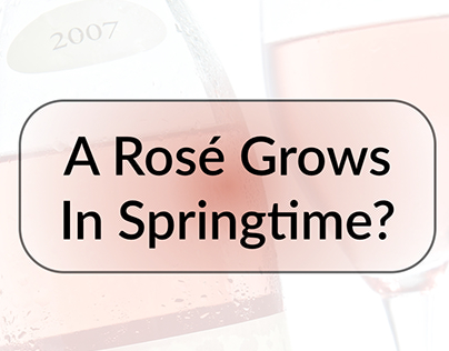 Randi Glazer: A Rosé Grows in Springtime?