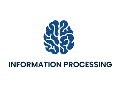 Cognitive Ergonomics - Information Processing