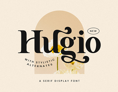 Hugio - Business Font