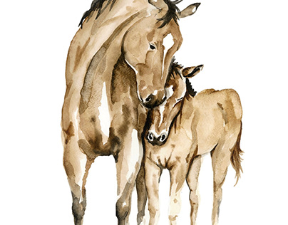 Aquarell Horse Illustration