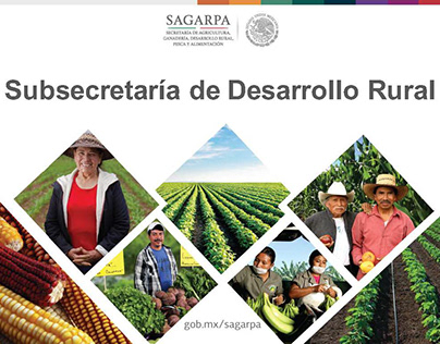 SAGARPA Subsecretaría de Desarrollo Rural