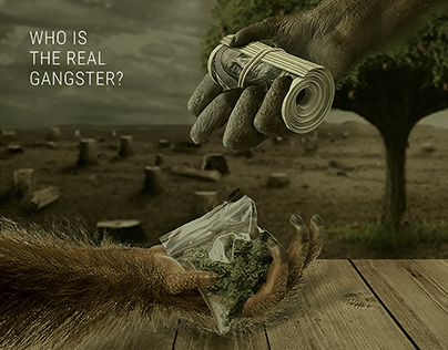 WWF | Who's the Real Gangster?