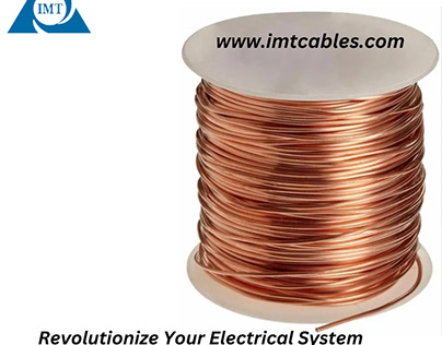 Electrical System with Earthing Braid Cables