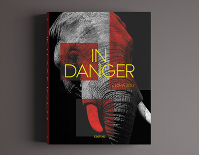 'In Danger' Book Design