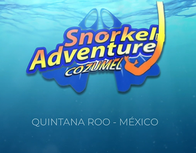 Spot Snorkel Adventure Cozumel