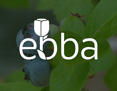 Ebba LLC Logo