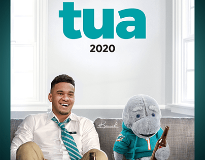 Miami Dolphins Ted poster parody