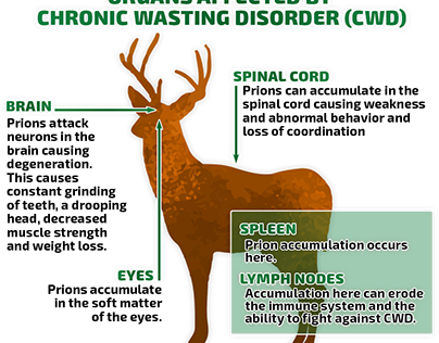 Proposal - Chronic Wasting Disease (Document Attached)