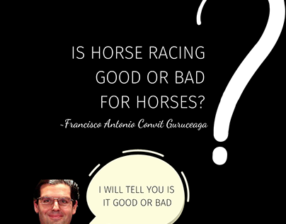 Is Horse Racing Good or Bad For Horses? ~ Convit