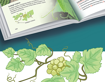 plants – vector illustrations