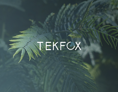 TEKFOX - Site vitrine