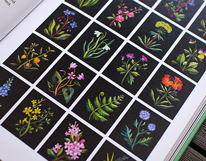 PLANTS FOR FREE – Illustrated Directory