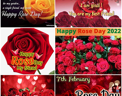 Happy Rose Day (7th Feb)