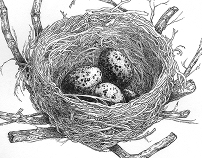 The Nest (stippling work)