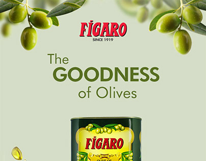 Figaro & Bertolli Olive Oil