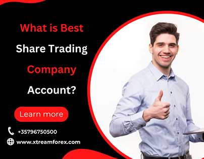 What is Best Share Trading Company Account?
