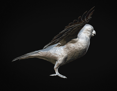 PARROT HIGH POLY