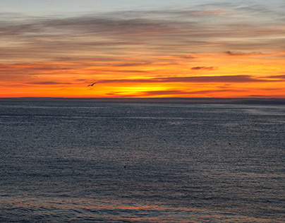 Aesthetic sunrise and sunsets in Newfoundland
