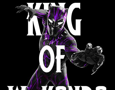 Black Panther King of Wakanda