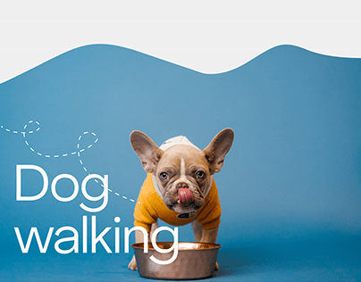 Dog Walking Project