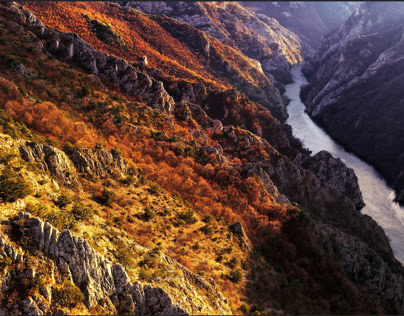 The New Perspective Canyon Matka