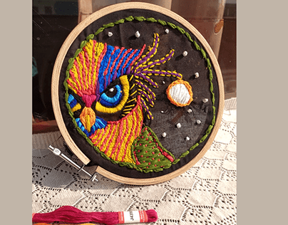 Embroidered Owl's Half Face