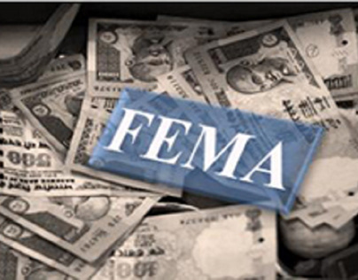 Experienced FEMA Consultants