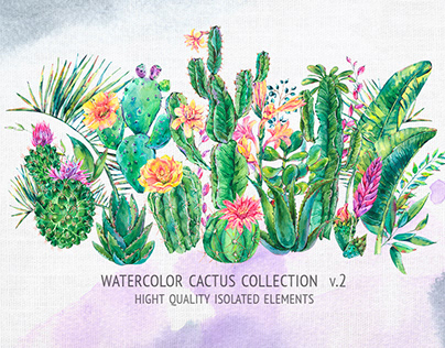 Watercolor Cactus Collection