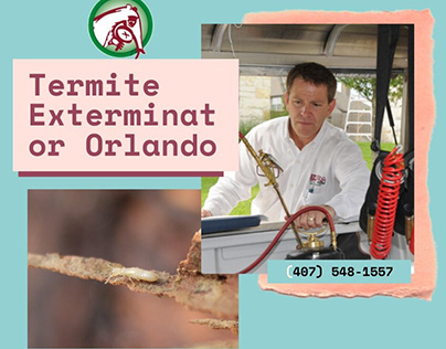 Termite Control in Orlando FL
