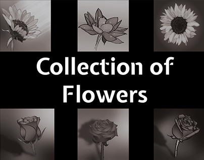 Collection of vector flowers