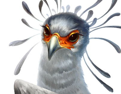 Project thumbnail - Secretary bird for “Redhead Librarian”