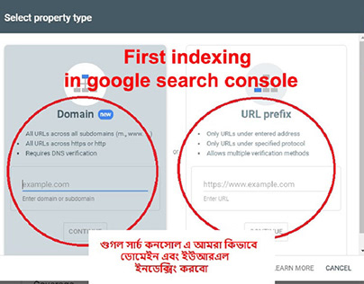 Domain and URL indexing in google search console.