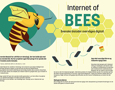 Internet of Bees