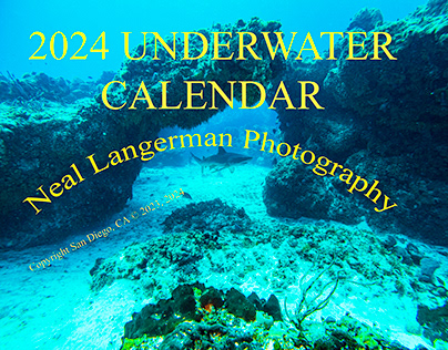 2024 Underwater Calendar