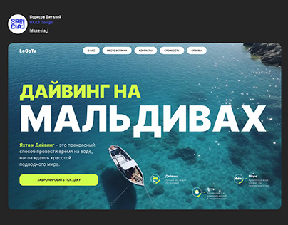 Diving Website design UX UI