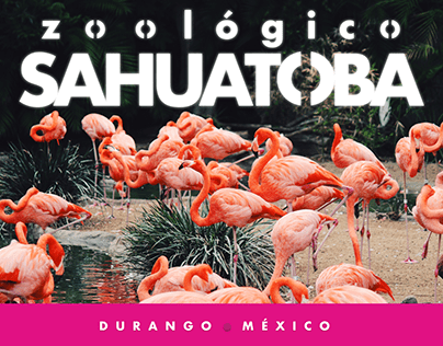 1-HR Design Challenge: Title Slide for a Zoo in Mexico
