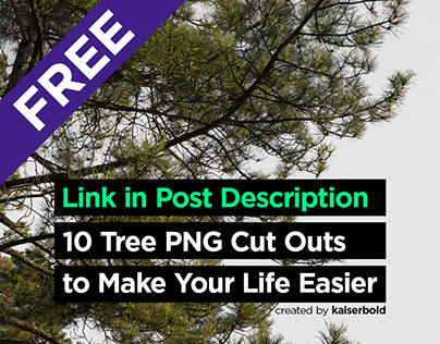 10 Tree PNG Cut Outs [FREE DOWNLOAD]