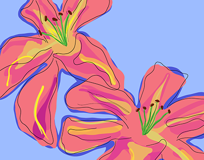 Illustration of lily