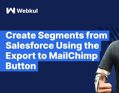 Segments from Salesforce Using Export to MailChimp
