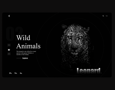 Wild Animals - Leopard